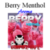 Berry Menthol Aroma 30ml (Vampire Vape)